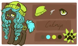 Size: 897x538 | Tagged: safe, artist:spideride, derpibooru import, oc, oc:catnip, unofficial characters only, earth pony, pony, beanie, braid, female, freckles, hat, mare, reference sheet, solo