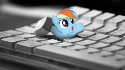 Size: 1600x900 | Tagged: safe, artist:klaifferon, derpibooru import, rainbow dash, pegasus, pony, arms in the air, artifact, cute, dashabetes, female, happy, hiding, i hid in your keyboard, i love you, irl, keyboard, looking up, love, mare, micro, open mouth, photo, picture, ponies in real life, smiling, solo, wallpaper