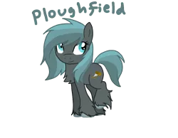 Size: 900x700 | Tagged: safe, artist:artybeat, derpibooru import, oc, oc:ploughfield, unofficial characters only, pony, chest fluff, female, gray, mare, shirepony, solo, unshorn fetlocks