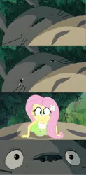 Size: 1200x2442 | Tagged: safe, derpibooru import, edit, fluttershy, equestria girls, bed meme, crossover, exploitable meme, hape, happyshy, hayao miyazaki, hug, imma snuggle you, meme, morning after, my neighbor totoro, this will end in tears, totoro
