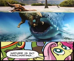 Size: 636x526 | Tagged: edit, exploitable meme, fluttershy, idw, megalodon, meme, nature is so fascinating, obligatory pony, platybelodon, semi-grimdark, shark