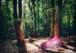 Size: 1032x722 | Tagged: artist:nimbustheponi, artist:snipercampervan, derpibooru import, forest, irl, photo, pinkie pie, ponies in real life, safe, shadow, sleeping, solo, vector