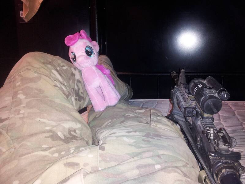 Size: 3264x2448 | Tagged: aimpoint, ar15, aurora, derpibooru import, irl, military, photo, pinkie pie, plushie, reflex sight, safe