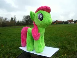 Size: 2816x2112 | Tagged: artist:ravenlady13, derpibooru import, grass, irl, merry may, paper, photo, plushie, safe, scenery, solo