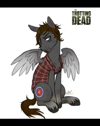 Size: 693x871 | Tagged: artist:pandadox, crossover, daryl dixon, derpibooru import, norman reedus, ponified, safe, solo, the walking dead