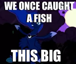 Size: 369x311 | Tagged: safe, derpibooru import, edit, edited screencap, screencap, princess luna, alicorn, pony, luna eclipsed, bragging, cropped, fishing, image macro, meme, royal we, solo