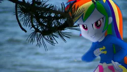 Size: 3840x2160 | Tagged: safe, artist:bastbrushie, derpibooru import, rainbow dash, human, equestria girls, clothes, equestria girls in real life, female, grin, horseshoes, irl, lake, photo, shadow, smiling, solo, tree branch, vector