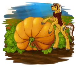 Size: 1600x1394 | Tagged: safe, artist:haventide, derpibooru import, oc, unofficial characters only, earth pony, pony, beard, clothes, dean mulligan, freckles, garden, male, pumpkin, scarf, sideburns, solo, stallion, unshorn fetlocks