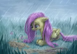 Size: 3400x2361 | Tagged: safe, artist:ruffu, derpibooru import, fluttershy, pegasus, pony, crying, female, floppy ears, flower, folded wings, grass, grave, lip bite, looking at something, looking down, mare, outdoors, prone, rain, solo, stray strand, teary eyes, wet mane, wings
