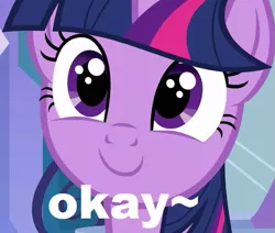 Size: 565x478 | Tagged: derpibooru import, okay, okay face, safe, smiling, solo, text edit, twilight sparkle