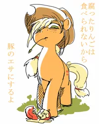 Size: 560x700 | Tagged: apple, applejack, artist:tsukusun, derpibooru import, japanese, looking down, pixiv, safe, solo, working