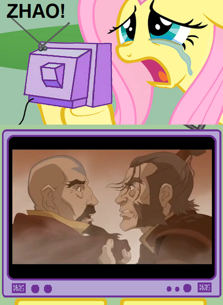 Size: 563x771 | Tagged: avatar, derpibooru import, exploitable meme, fluttercry, meme, obligatory pony, safe, tenzin, the legend of korra, tv meme, zhao