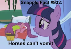 Size: 1015x708 | Tagged: applebuck season, background pony, bucket, cherry punch, derpibooru import, edit, edited screencap, frown, gritted teeth, prone, safe, screencap, sick, snapple, twilight sparkle, vomit