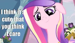 Size: 599x346 | Tagged: caption, derpibooru import, image macro, princess cadance, safe, solo