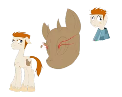 Size: 1024x819 | Tagged: artist:hellangelwolfrevenge, cutie mark, derpibooru import, ponified, revenge of the island, safe, scott, total drama island