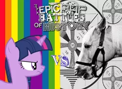 Size: 950x700 | Tagged: derpibooru import, epic rap battles of history, hoers, horse, horse-pony interaction, mister ed, safe, twilight sparkle