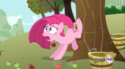 Size: 640x355 | Tagged: safe, derpibooru import, screencap, pinkie pie, earth pony, pony, magical mystery cure, anatomically incorrect, apple, applebucking, basket, bucking, bushel basket, fail, food, frown, incorrect leg anatomy, meme, mlp-captions, open mouth, ouch, pinkamena diane pie, solo, swapped cutie marks, this, tree, underhoof, wide eyes, youtube caption