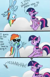 Size: 381x583 | Tagged: safe, artist:rainbowdashart101, derpibooru import, rainbow dash, twilight sparkle, twilight sparkle (alicorn), alicorn, pony, comic, csi meme, female, flying, mare, sunglasses