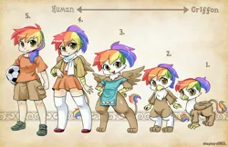 Size: 3000x1941 | Tagged: safe, artist:shepherd0821, derpibooru import, oc, oc:rainbow feather, unofficial characters only, anthro, gryphon, human, hybrid, semi-anthro, anthro chart, beak, clothes, cute, dress, humanized, interspecies offspring, mane, offspring, parent:gilda, parent:rainbow dash, parents:gildash