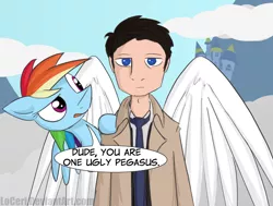 Size: 2000x1509 | Tagged: artist:loceri, canterlot, castiel, cloud, cloudy, crossover, derpibooru import, dialogue, human, rainbow dash, safe, supernatural