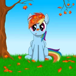 Size: 1500x1500 | Tagged: safe, artist:the1xeno1, derpibooru import, rainbow dash, :o, autumn, autumn leaves, cute, dashabetes, leaves, sitting, solo, tree