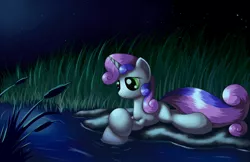 Size: 1700x1100 | Tagged: safe, artist:grennadder, derpibooru import, sweetie belle, pony, unicorn, female, filly, night, pond, reed, reeds, scenery, solo, starry night, starry sky, water