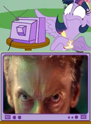 Size: 563x771 | Tagged: safe, derpibooru import, twilight sparkle, twilight sparkle (alicorn), alicorn, pony, day of the doctor, doctor who, exploitable meme, female, mare, meme, no sir all thirteen, obligatory pony, peter capaldi, regalia, tv meme, twelfth doctor