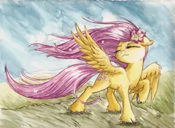 Size: 1024x750 | Tagged: safe, artist:the-wizard-of-art, derpibooru import, fluttershy, pegasus, pony, flower, grass, hooves, solo, traditional art, unshorn fetlocks, watercolor painting, windswept mane