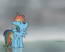 Size: 2500x2000 | Tagged: safe, artist:twojapacha, derpibooru import, rainbow dash, filly, filly rainbow dash, rain, reflection, solo, younger