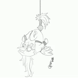 Size: 5000x5000 | Tagged: dead source, grimdark, artist:tkc, derpibooru import, rainbow dash, absurd resolution, bondage, bound wings, collar, gag, image, jpeg, rope, solo, suspended, tail, tail pull, tape gag, tied, upside down, wip