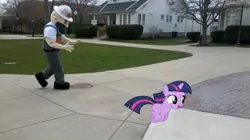 Size: 2592x1456 | Tagged: artist:foxy-noxy, blank flank, brick, building, bush, concrete, derpibooru import, derrick the oiler, edit, filly, filly twilight sparkle, findlay, fire hydrant, grass, hat, human, irl, manhole, mascot, photo, ponies in real life, running, safe, sidewalk, sign, sky, stairs, street, streetlight, tree, twilight sparkle, university, university of findlay, window