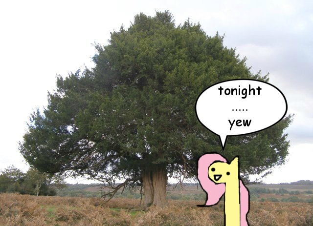 Size: 640x463 | Tagged: artist:wollap, derpibooru import, fluttershy, irl, leafie, photo, ponies in real life, pun, safe, solo, tonight you, tree, yew tree