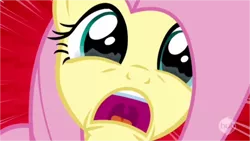 Size: 750x422 | Tagged: safe, derpibooru import, screencap, fluttershy, pegasus, pony, castle mane-ia, crying, cute, female, fluttercry, hub logo, hubble, mare, open mouth, screaming, shocked, shyabetes, solo, speed lines