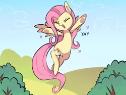 Size: 640x480 | Tagged: safe, artist:kkuyo, derpibooru import, fluttershy, butterfly, pegasus, pony, cute, eyes closed, female, mare, one word, open mouth, shyabetes, solo, yay