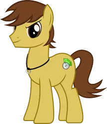 Size: 678x788 | Tagged: safe, artist:myth chaser, derpibooru import, oc, oc:myth chaser, unofficial characters only, earth pony, pony, brown, compass, gem, male, necklace, ring, simple background, solo, stallion