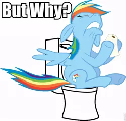 Size: 800x766 | Tagged: but why, derpibooru import, fanfic, female, my life is ruined, rainbow dash, safe, solo, toilet, toilet humor