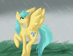 Size: 1019x784 | Tagged: artist:leasmile, derpibooru import, rain, safe, solo, sunshower raindrops