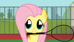 Size: 640x360 | Tagged: artist:agrol, derpibooru import, everypony plays sports games, fluttershy, mouth hold, safe, solo, tennis, tennis racket
