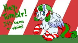 Size: 919x508 | Tagged: safe, artist:srsishere, derpibooru import, oc, unofficial characters only, alicorn, pony, alicorn oc, christmas, clothes, elf pony, hat, princess skyla replies, socks, solo, sparkles, striped socks, tumblr