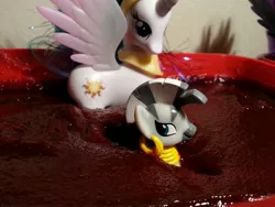 Size: 3264x2448 | Tagged: safe, derpibooru import, princess celestia, zecora, alicorn, pony, zebra, edible, food, hot pepper paste, neck deep, plastic container, ponies in food, sauce, submerged, toy