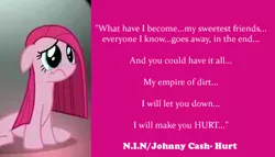 Size: 368x211 | Tagged: derpibooru import, forum signature, johnny cash, let down, lyrics, nine inch nails, pinkamena diane pie, pinkie pie, sadness, safe, solo, song