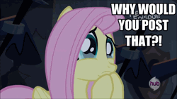 Size: 640x360 | Tagged: animated, castle mane-ia, crying, derpibooru import, edit, edited screencap, fluttershy, hubble, hub logo, reaction image, safe, screencap, solo, the hub, why would you post that