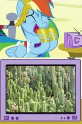 Size: 592x890 | Tagged: alfa legion, cactus, cactusgasm, californatus, derpibooru import, exploitable meme, meme, obligatory pony, rainbow dash, reference, safe, tv meme