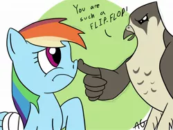 Size: 2000x1500 | Tagged: safe, artist:ashesg, derpibooru import, rainbow dash, falcon, pony, may the best pet win, duo, female, flip-flop, mare, nose wrinkle, peregrine falcon, simple background, white background, wing hands