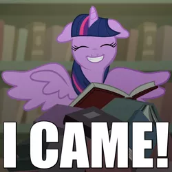 Size: 720x720 | Tagged: suggestive, derpibooru import, twilight sparkle, twilight sparkle (alicorn), alicorn, pony, castle mane-ia, book, caption, female, floppy ears, grin, i came, image macro, implied orgasm, mare, meme, nerdgasm, reaction image, solo, wingboner