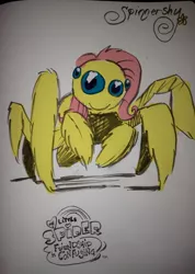 Size: 600x843 | Tagged: artist:egypturnash, cute, derpibooru import, fluttershy, jumping spider, looking at you, my little pony logo, my little x, original species, safe, smiling, solo, species swap, spider, spidershy, traditional art