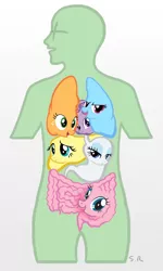 Size: 500x832 | Tagged: anatomy, applejack, cropped, derpibooru import, edit, equestria in anon, fluttershy, heart, horgans, human, intestines, liver, lungs, mane six, my little x, not salmon, oc, oc:anon, op is on drugs, organs, pinkie pie, rainbow dash, rarity, safe, stomach, twilight sparkle, wat, why