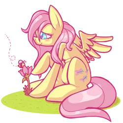 Size: 800x800 | Tagged: artist:grindzone, bee, derpibooru import, flower, fluttershy, safe, solo