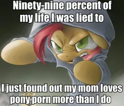 Size: 612x521 | Tagged: suggestive, derpibooru import, babs seed, earth pony, pony, babs the rapper, clothes, eminem, exploitable meme, female, filly, hoodie, image macro, meme, nose wrinkle, parody, solo