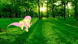 Size: 2560x1440 | Tagged: derpibooru import, fluttershy, flying, grass, irl, park, photo, ponies in real life, safe, solo, tree, wallpaper